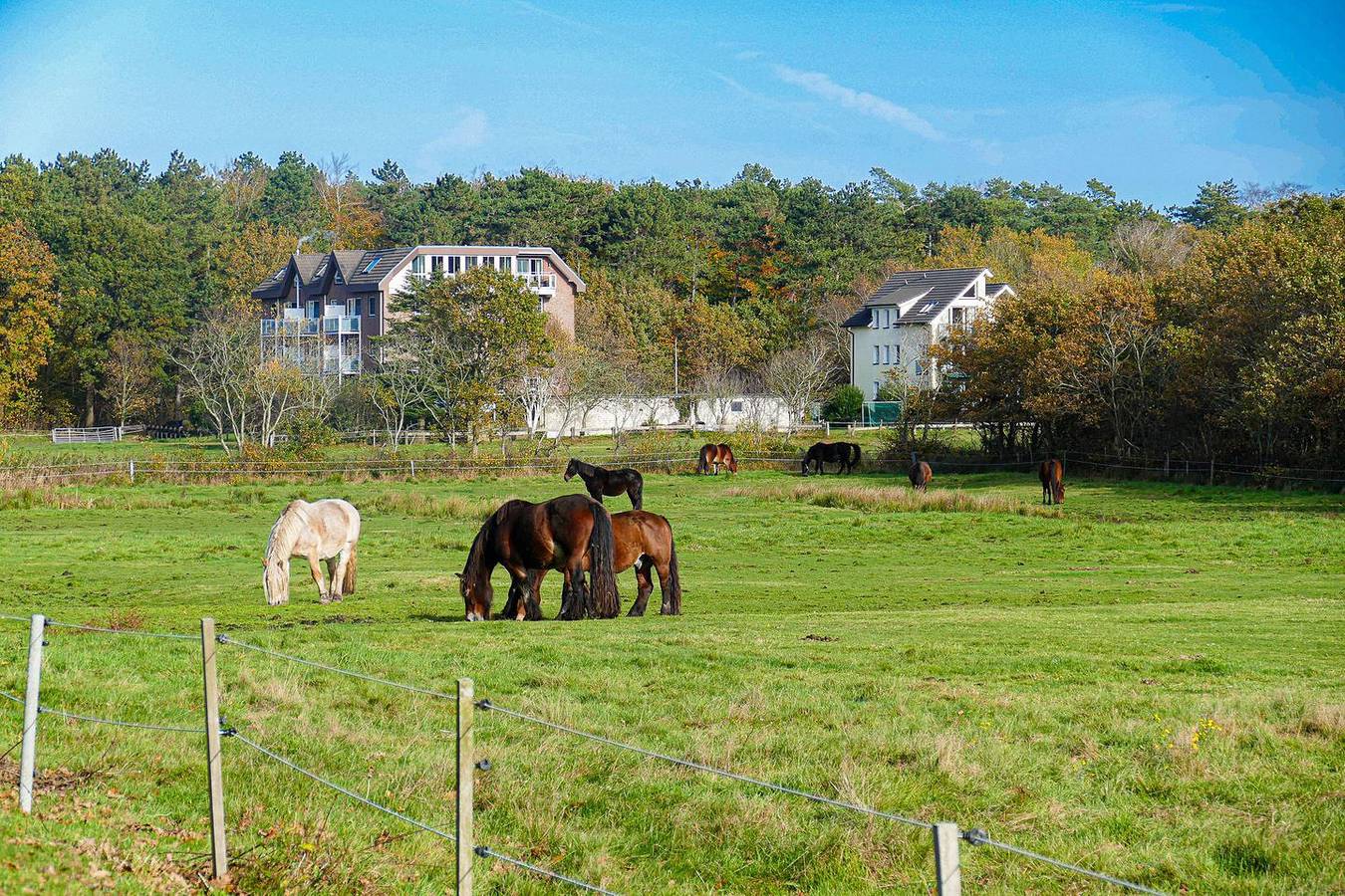 Ganze Wohnung, Fewo in Cuxhaven-Sahlenburg, strandnah, Balkon, Wlan, Parkplatz in Sahlenburg Strand, Cuxhaven