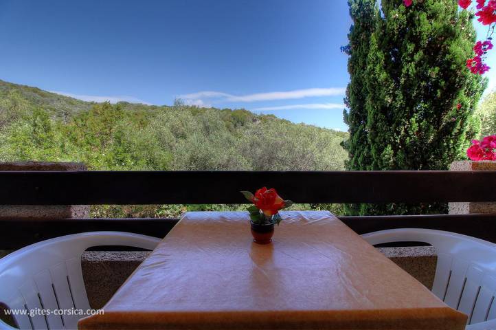Mimosa 3 in Porto Pollo (Corse), Serra-di-Ferro