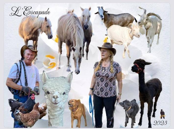 Location de vacances pour 4 personnes, avec jardin, animaux acceptés à Pont-de-Salars - 4