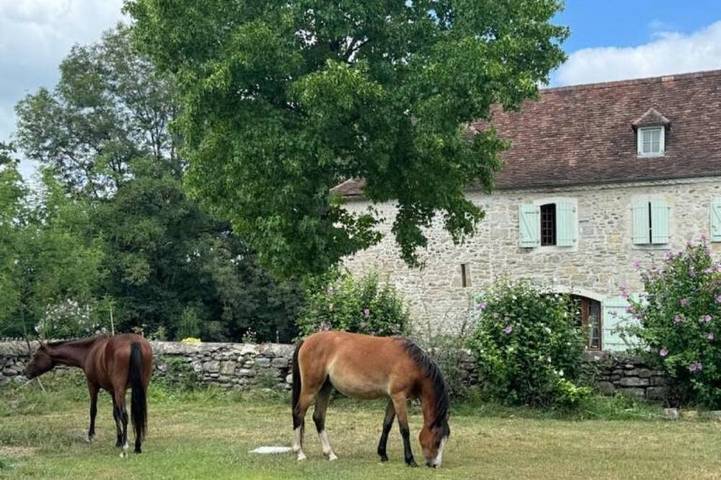 Gîte pour 6 personnes à Saint-Gladie-Arrive-Munein