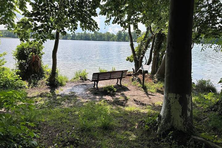 Ganze Wohnung, Giebelwohnung auf Gutshof. Idyllische Lage am Ruppiner See 1 Std. vor Berlin in Neuruppin, Ruppiner Seenland