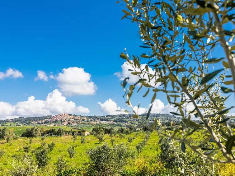 Haus 12 Personen in Casale Marittimo, Etruskische Küste
