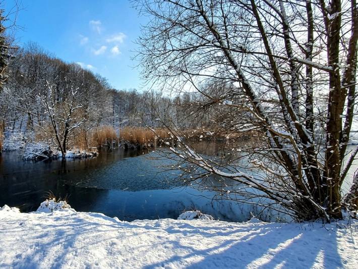Ganze Wohnung, Ferienwohnung mit Gartenpool im Grünen nahe Wien in Mauerbach, Donau Niederösterreich Region