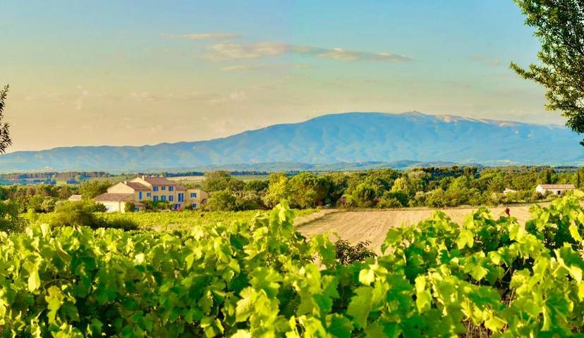 Location de vacances pour 2 personnes, avec piscine et jardin à Saint-Didier - 2
