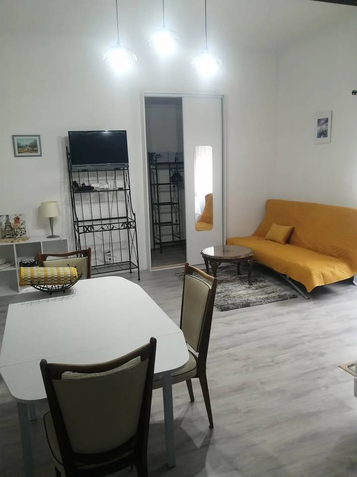 Gîte pour 3 personnes, avec jardin à Bourg-Argental - 3