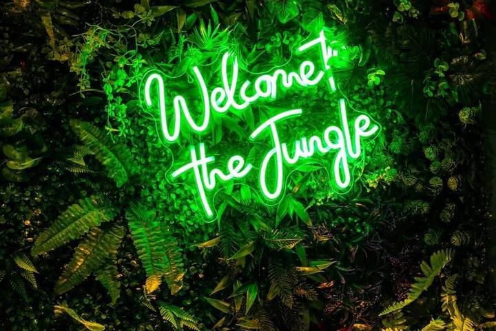 Gîte pour 2 personnes, avec terrasse à Pau - 4