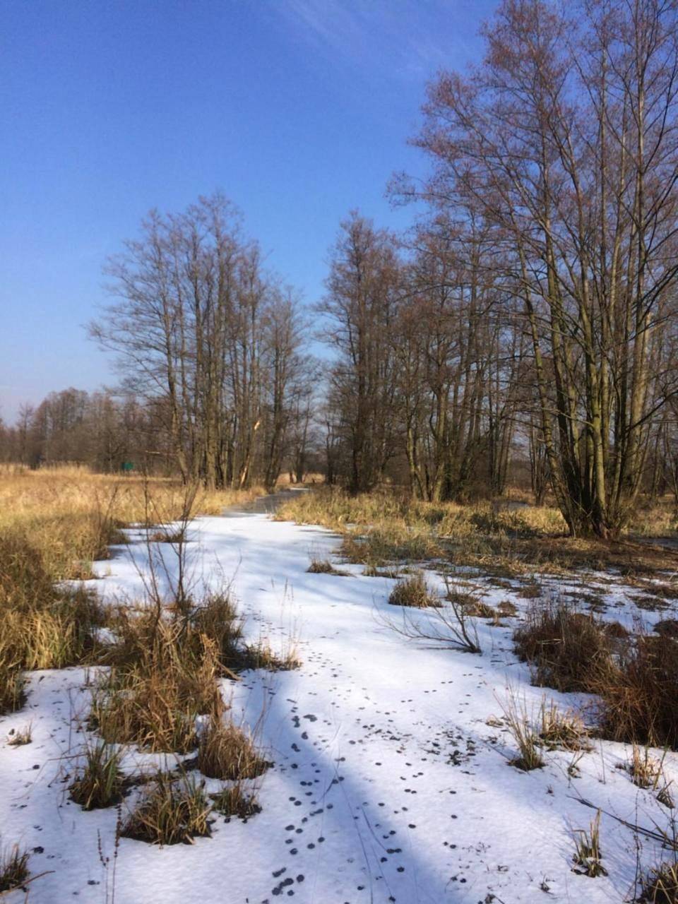 Ganze Wohnung, Storchenblick in Schlepzig, Dahme-Spreewald