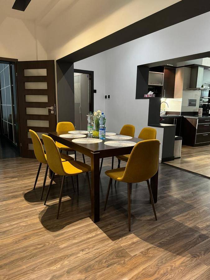 Cały apartament, Penthouse Apartment in Sosnowiec, Śląsk