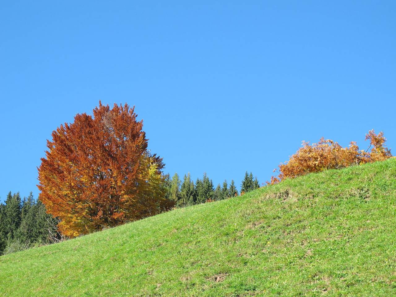 Ganze Ferienwohnung, Sixenhof - Typ A in Niederau, Wildschönau
