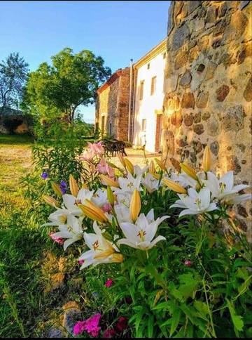 Gîte pour 10 personnes, avec vue et jardin, adapté aux familles à Brousse
