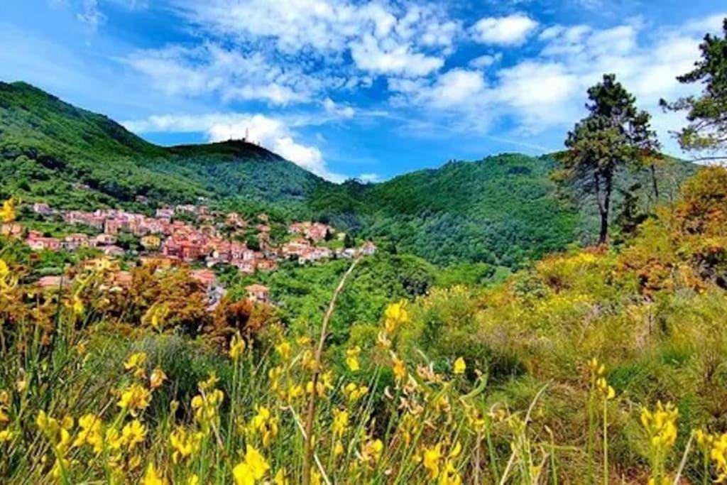 Vita Lenta in Biassa, La Spezia