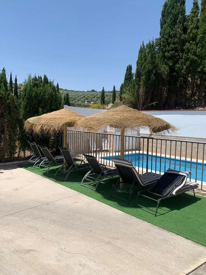 Holiday home for 11 people, with pool and garden, with pets - 1
