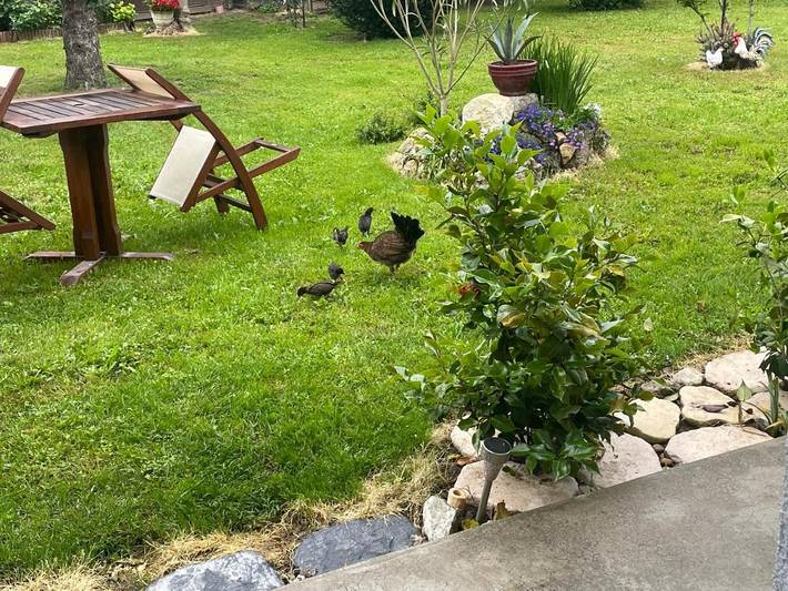 Gîte pour 2 personnes, avec jardin et vue à Passage - 2