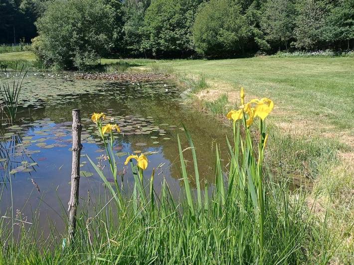 Location de vacances pour 6 personnes, avec jardin et vue à Compreignac - 4