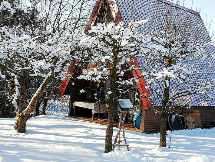 Ferienhaus für 5 Personen, mit Terrasse und Garten sowie Kinderpool und Sauna in Waldmünchen - 4