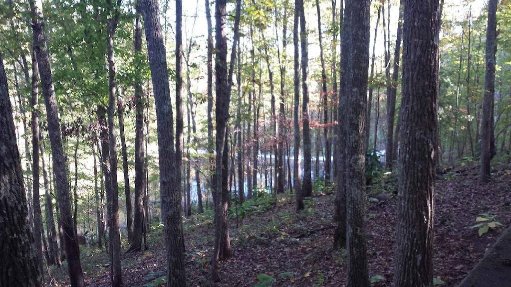 3Br 1.5Ba w/ King Bed/Hot Tub in Heart of Rrg! in Daniel Boone National Forest