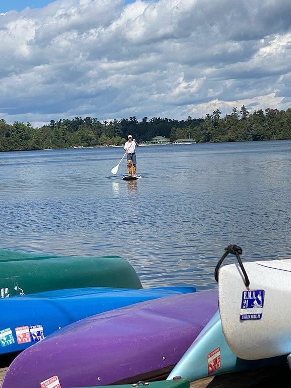 Gîte pour 6 personnes, animaux acceptés