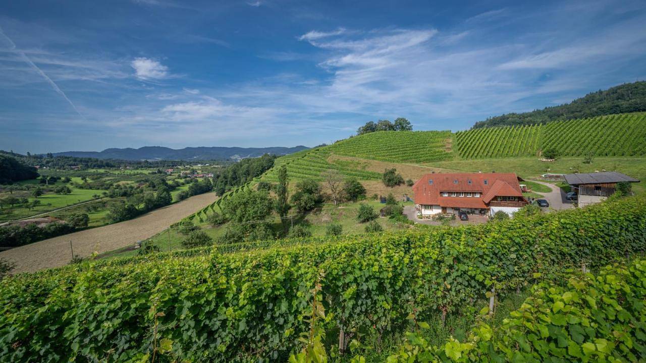 Ganze Wohnung, Winzerhof Armbruster in Gengenbach, Mittlerer Schwarzwald
