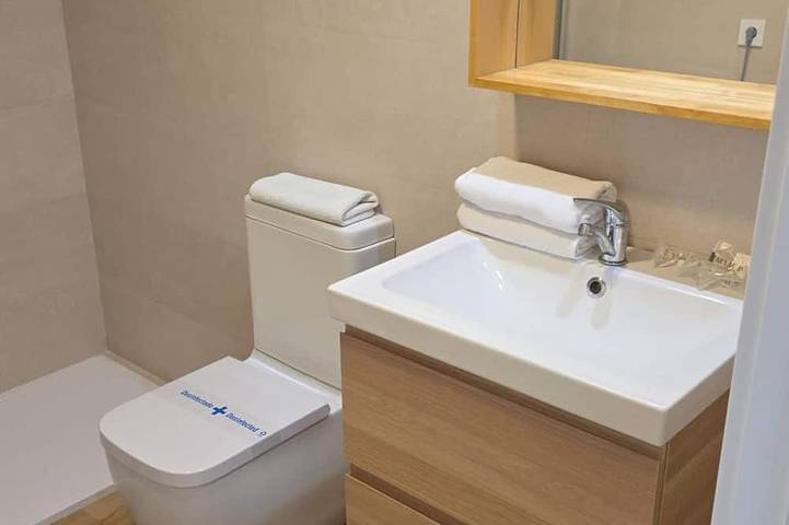 Ganze Wohnung, Modernes Studio in Pistennähe - 4 Pers. in Candanchú, Aisa