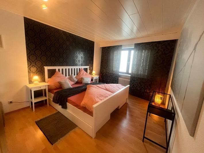 Gîte pour 3 personnes, avec terrasse et vue, animaux acceptés à Worms (Allemagne) - 2