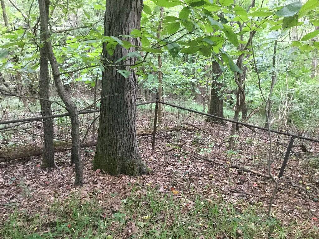 Vacation House for 10 Guests in Illinois, USA