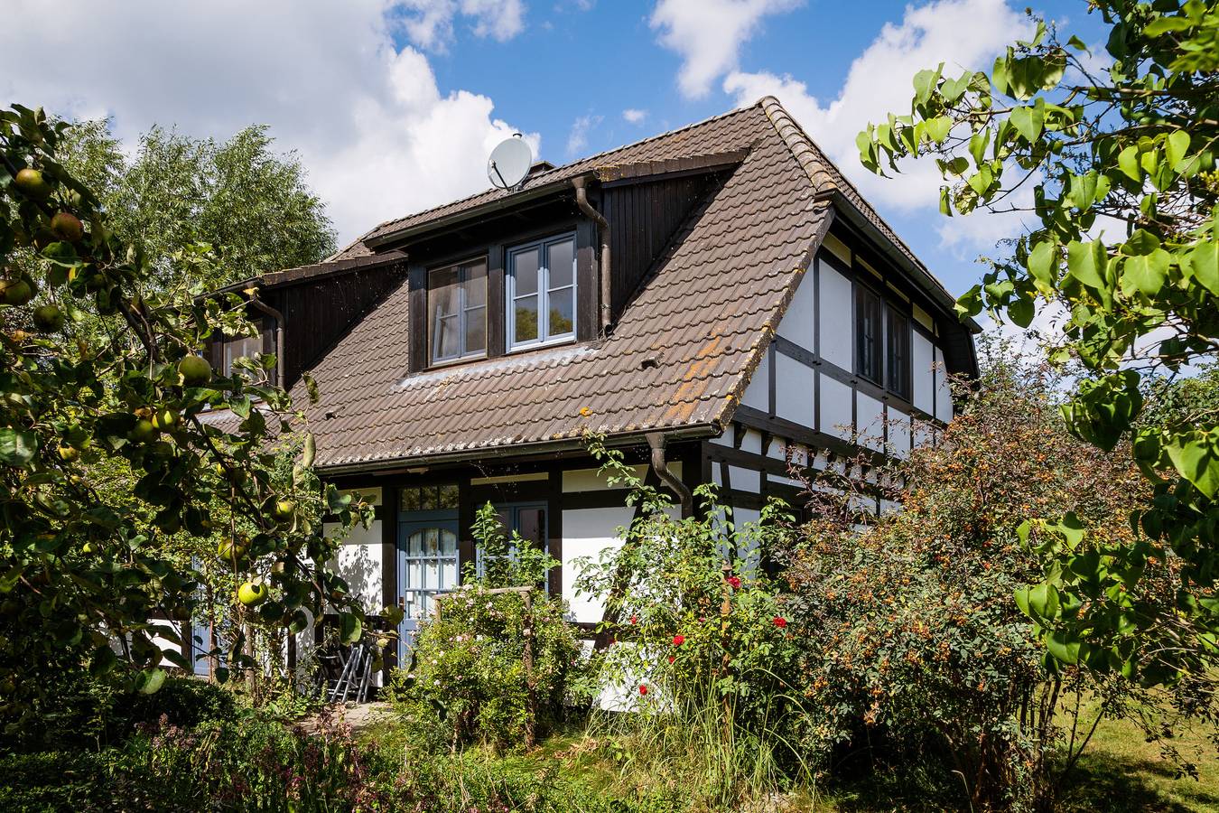 Ganze Ferienwohnung, 2-Raum Apartment bis 4 Pers. (1.3) in Warthe, Rankwitz