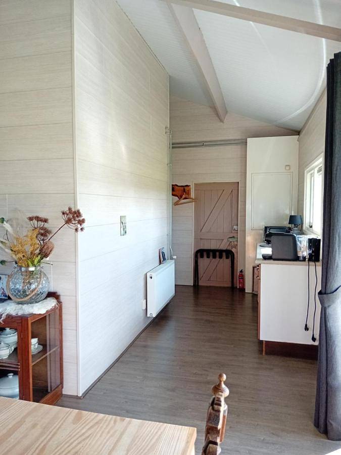 B&B Stripsein in Frise