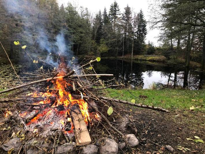 Ferienwohnung für 14 Personen, mit Sauna und Garten sowie Ausblick und Seeblick, mit Haustier im Elsass - 4