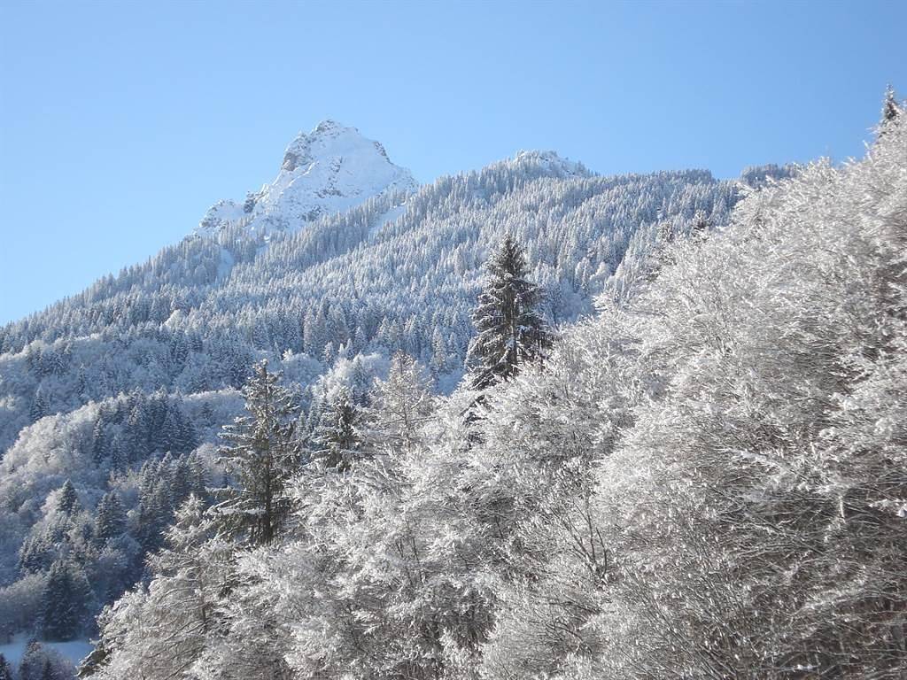 Ganze Ferienwohnung, Wohnung 70 m², 2-4 Personen in Rätikon Gebirgsgruppe, Tschagguns