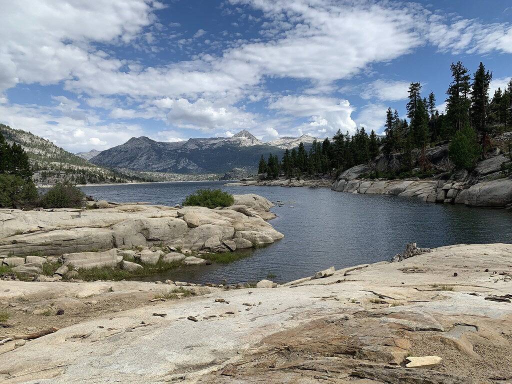 Cosy Shaver Lake Cabin: West Village, Wifi, komplett renoviert in Shaver Lake, Kings Canyon Nationalpark