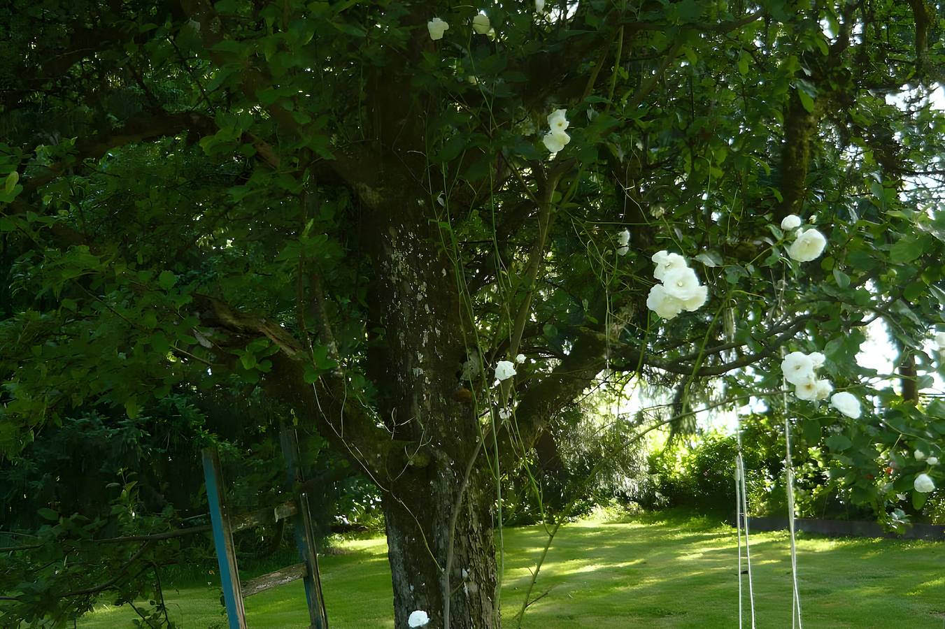 Ganze Wohnung, Apartment „Willkommen in unserer Oase der Ruhe“ mit privater Terrasse, Garten & Wlan in Winterstetten, Leutkirch im Allgäu