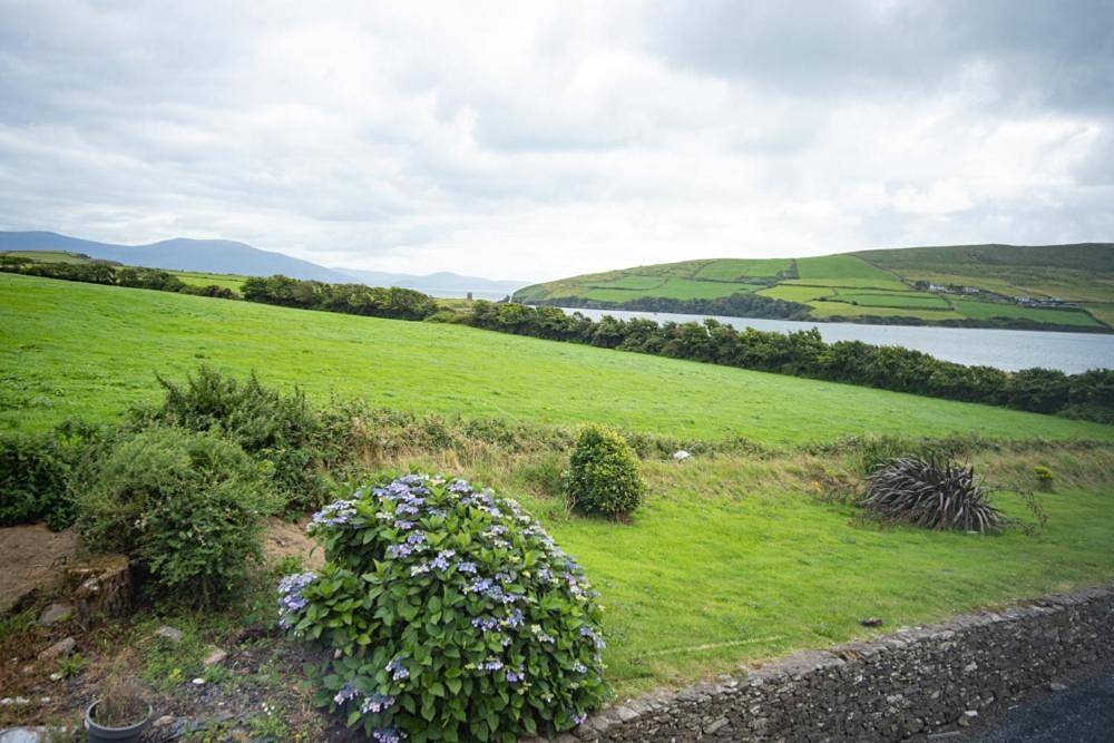 Double Room with Garden View in Dingle Halbinsel