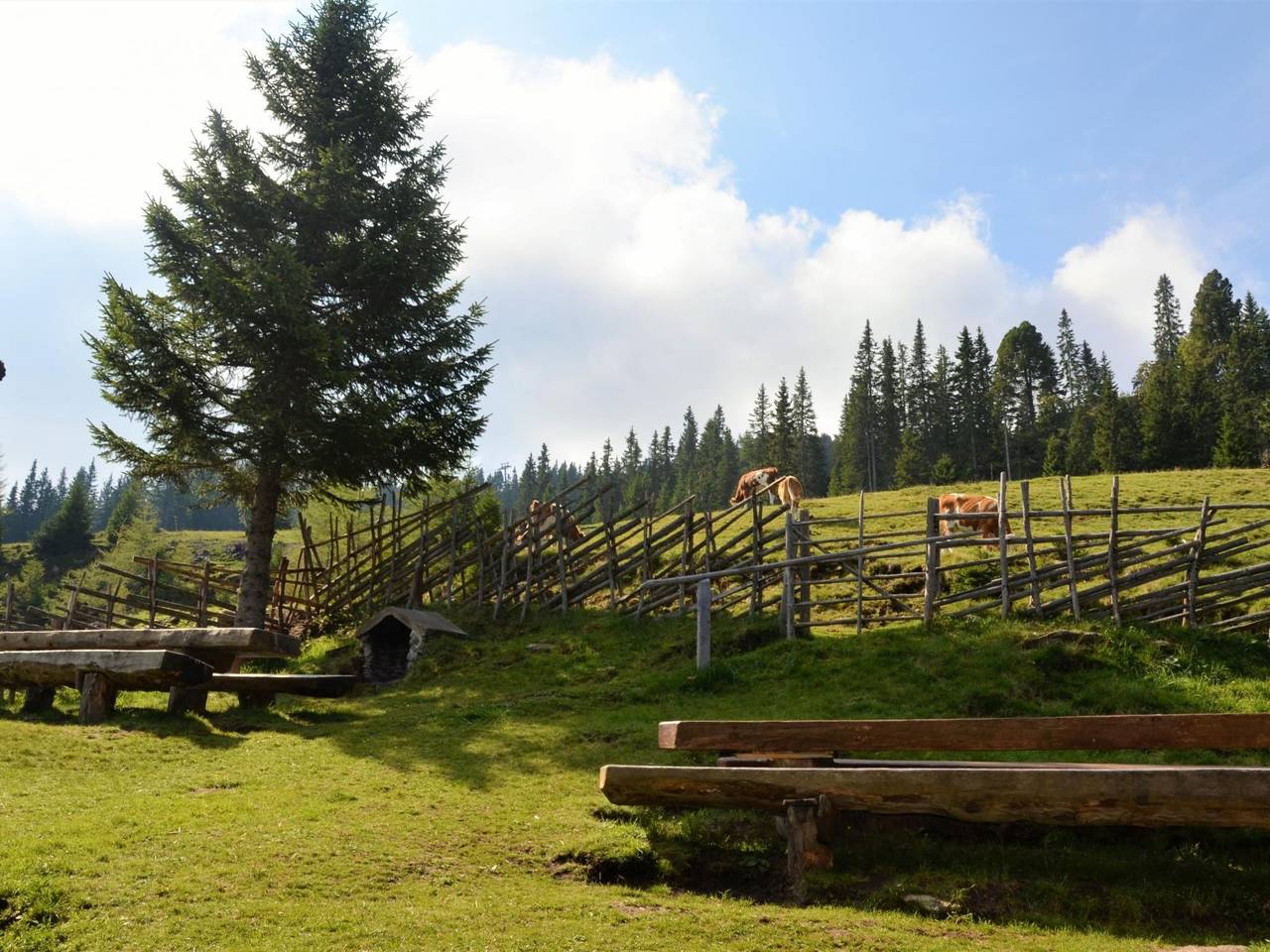 Guglhütte in Reichenfels, Lavanttaler Alpen