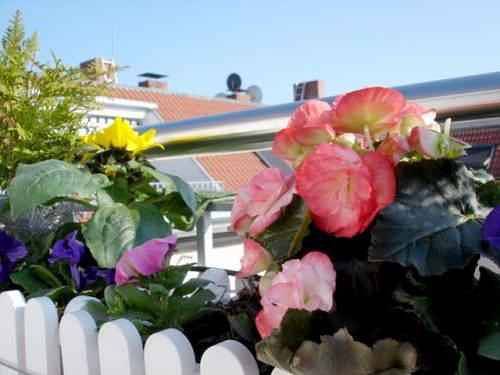 Ganze Ferienwohnung, Ferienwohnung komfortabel mit großer Südterrasse,sonnig, hell, sehr sauber, sehr ruhig und überkomplett modern ausgestattet  in Moabit Berlin, Berlin
