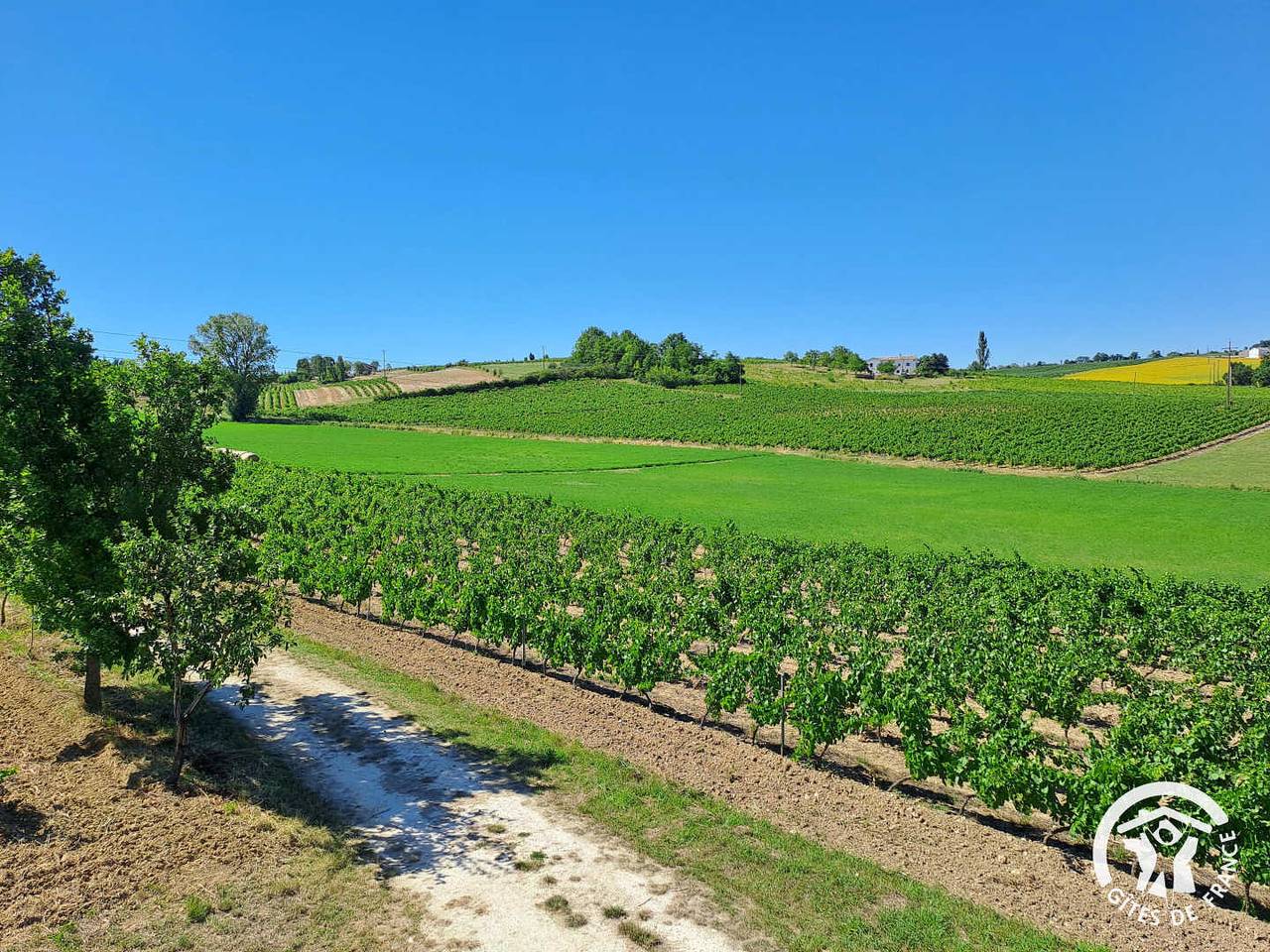 Le pigeonnier de Vallières in Cahuzac-sur-Vère, Albi und Umgebung