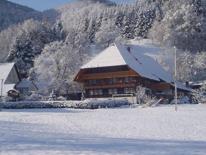 Ferienwohnung für 2 Personen, mit Balkon und Terrasse sowie Garten und Pool in Gutach (Schwarzwaldbahn) - 2