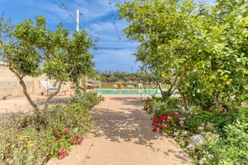 Vakantieappartement voor 4 Personen in Taurisano, Salento, Afbeelding 3