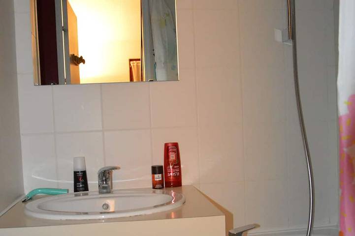 Location de vacances pour 5 personnes, avec piscine et jardin dans Plage de La Joselière - 4