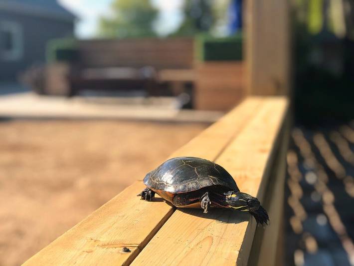 Vacation rental for 16 people, with hot tub and terrace as well as sauna and garden in Norfolk County