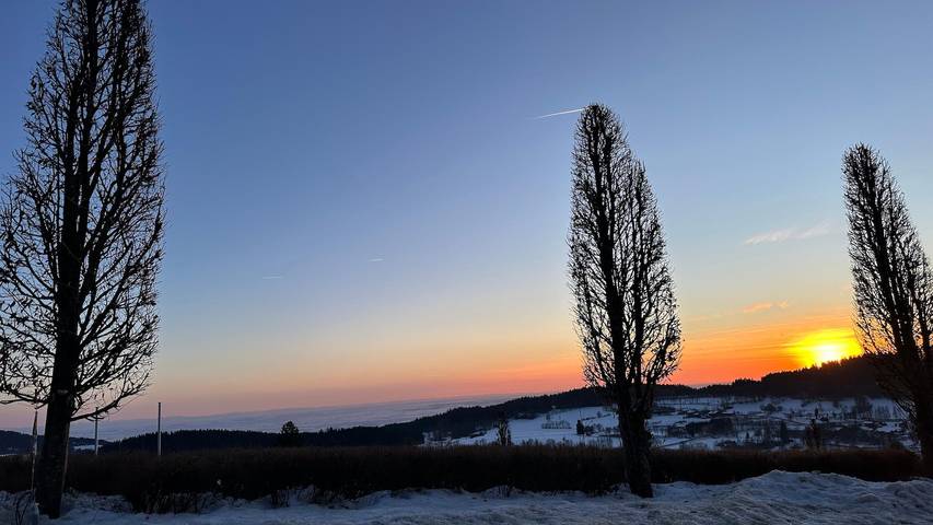 Ferienhaus für 3 Personen, mit Garten und Pool sowie Sauna, kinderfreundlich in Landkreis Straubing-Bogen - 4
