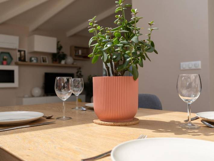 Location de vacances pour 8 personnes, avec jardin à Nanterre - 4
