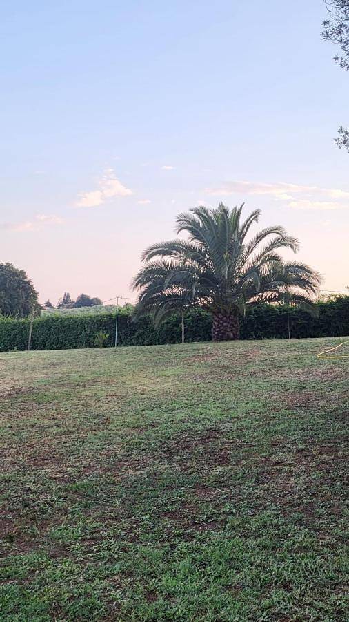 B&b per 4 persone, con giardino, con animali domestici in Pomezia