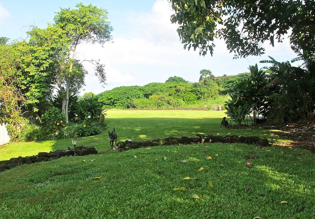 Delightful Artful Bungalow on Historic Estate Property. Choice Holualoa! in Holualoa, South Kona