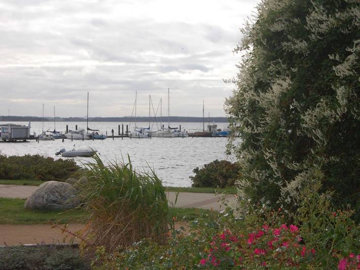 Bungalow für 4 Personen, mit Seeblick und Balkon in Rerik - 4
