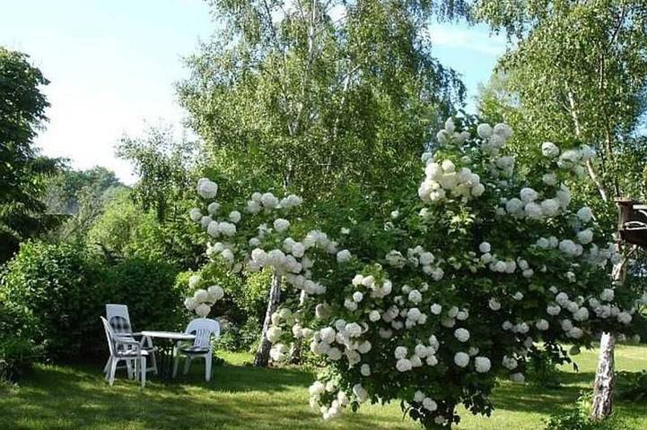 Ferienwohnung für 2 Personen, mit Garten in Samtens - 4