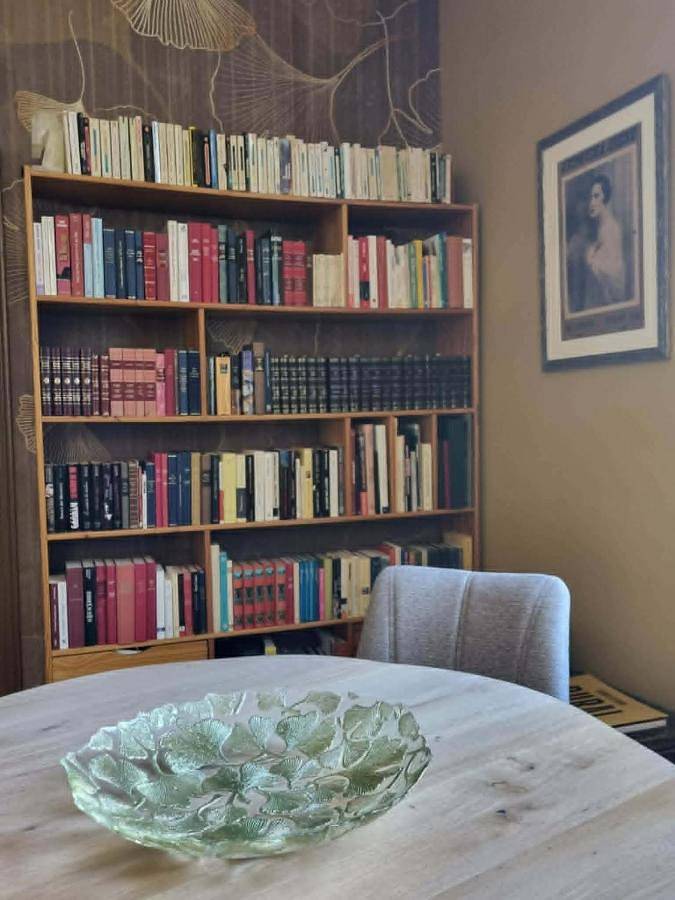 Chambre d’hôte pour 2 personnes, avec Balcon ainsi que Terrasse et Vue à Tarbes - 3