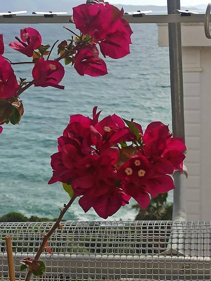 Jelena's Luxury Apartments in Saranda, Vlorë