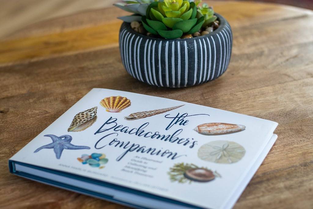 Ganze Wohnung, Sunny Secluded Super-cute Studio Near Topsail Island & Wilmington, Nc in Pender County