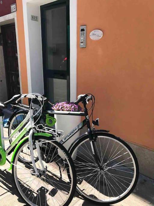 Gîte pour 3 personnes, animaux acceptés à Chioggia - 3