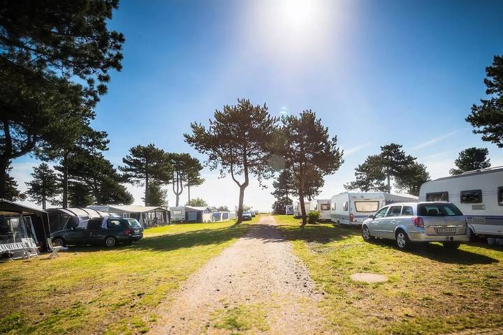 Villa für 6 Personen, mit Sauna und Terrasse sowie Pool, mit Haustier auf Seeland - 2